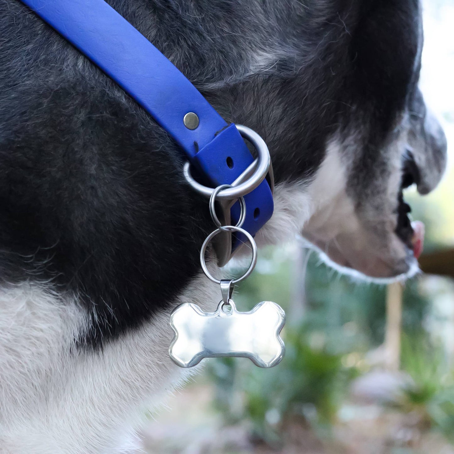 18K Gold PVD Stainless Steel Blank Dog Bone Pet Tag