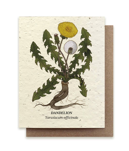 Dandelion Plantable Wildflower Seed Card