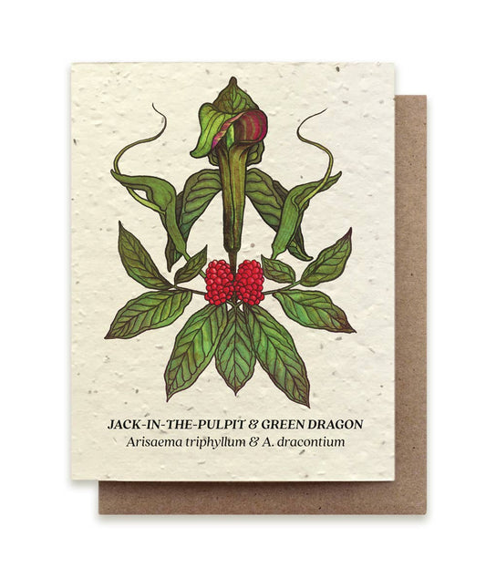 Jack-in-the-Pulpit & Green Dragon Wildflower Seed Card