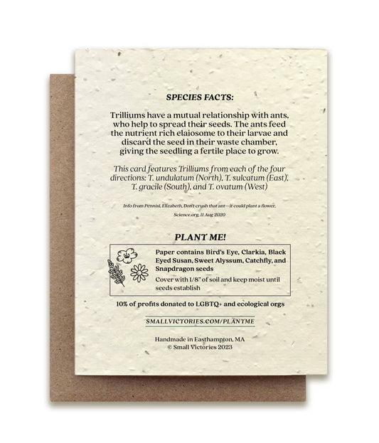 Trillium Compass Plantable Wildflower Seed Card