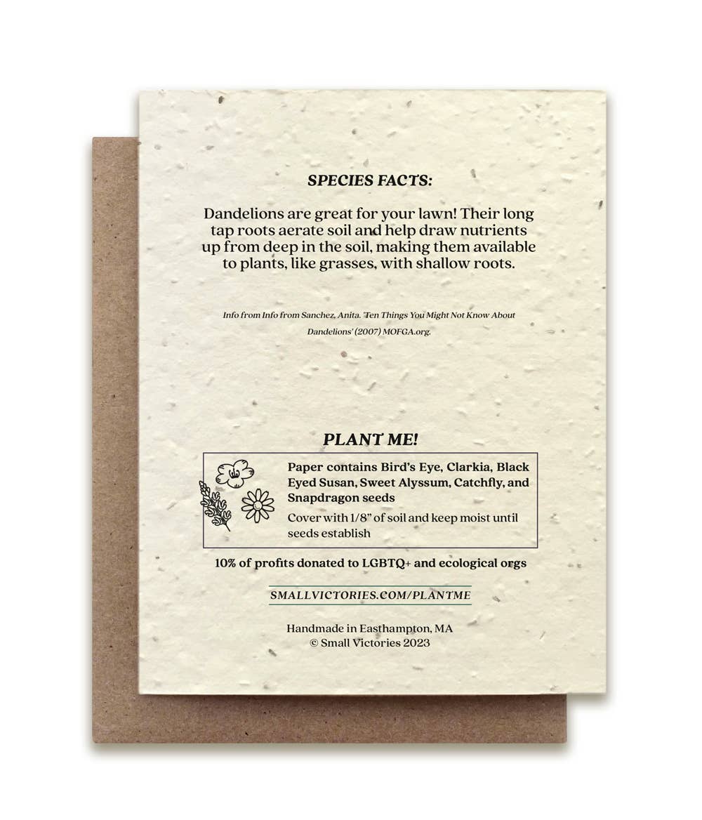 Dandelion Plantable Wildflower Seed Card