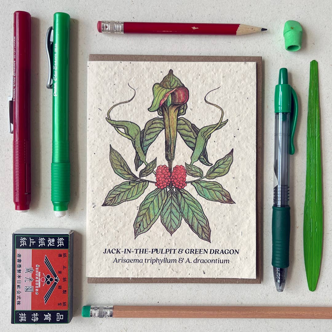 Jack-in-the-Pulpit & Green Dragon Wildflower Seed Card