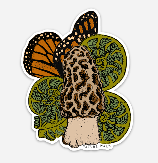 Morel Mushroom Fiddlehead Fern Monarch Wing Waterproof Decal