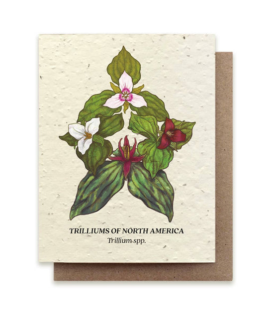 Trillium Compass Plantable Wildflower Seed Card